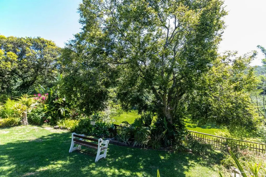 Fish Eagle Manor - Chambres