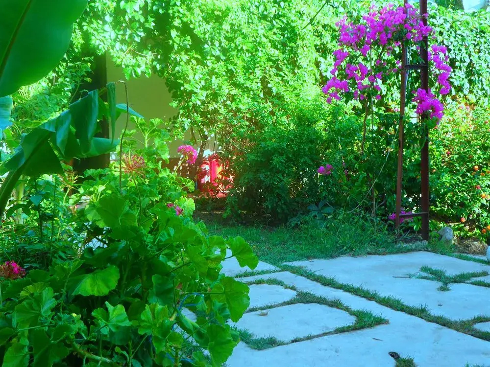 Arya Holiday Houses - фото 20