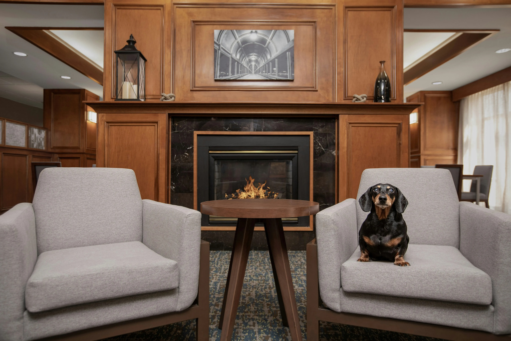 Hotel photo 31