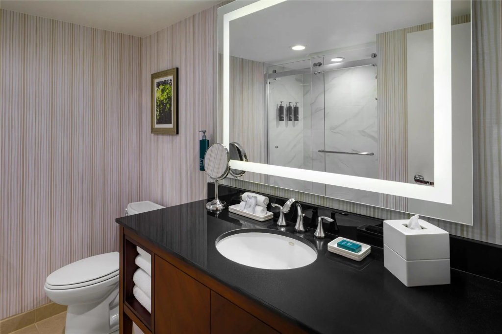 Hilton Washington DC/Rockville Hotel & Executive Meeting Ctr - Général