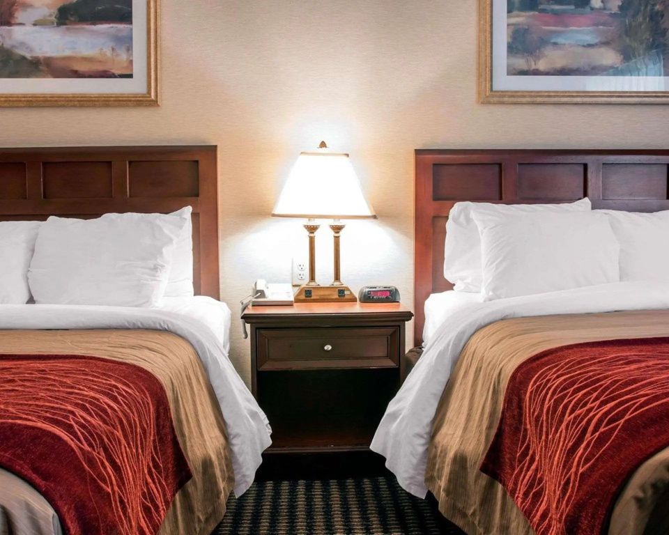 Wingate by Wyndham Livonia - Chambres