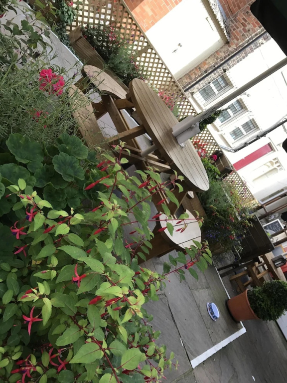 Hotel photo 11
