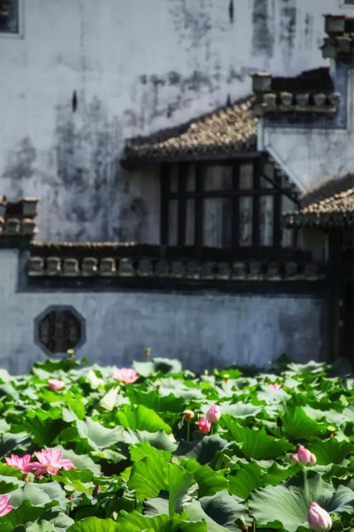 SU House - фото 16