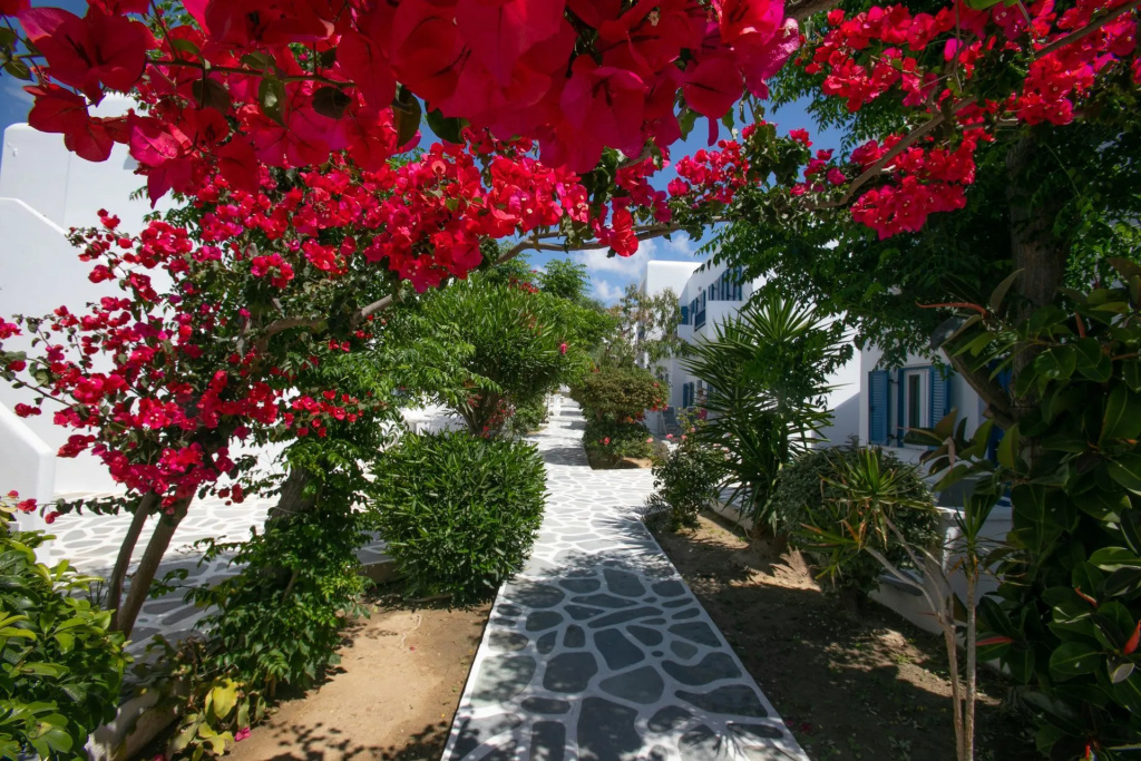 Acrogiali Beach Hotel Mykonos - Général