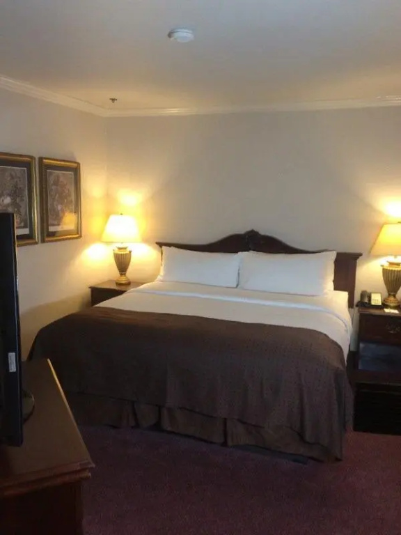 Holiday Inn Selma - Swancourt by IHG - Chambres