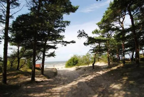 Beach & Waterfront