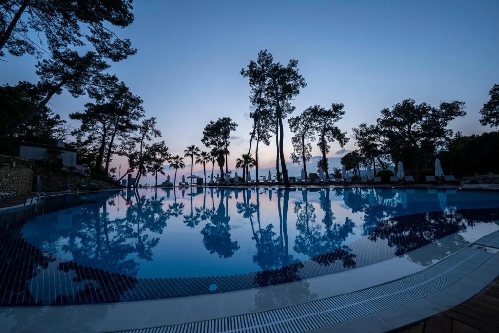 Wome Deluxe — фото