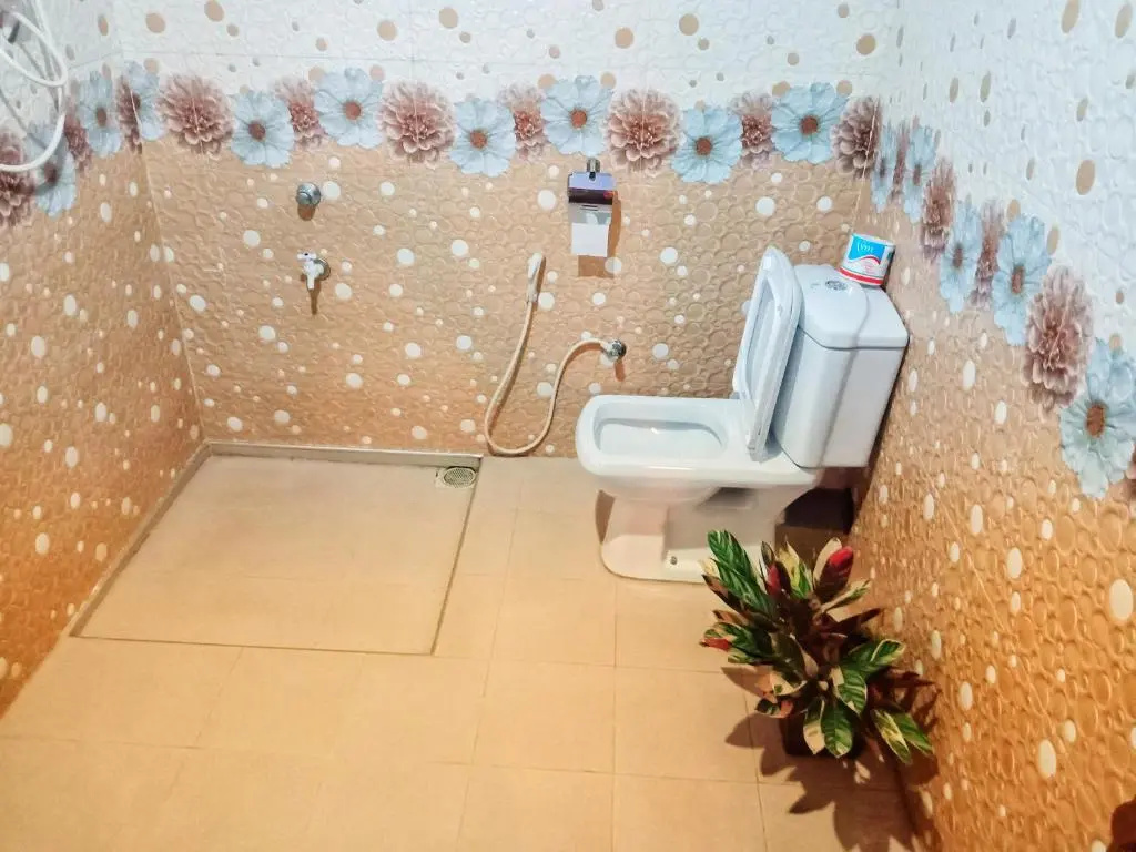 Standard Double room with mountain view (full double bed)