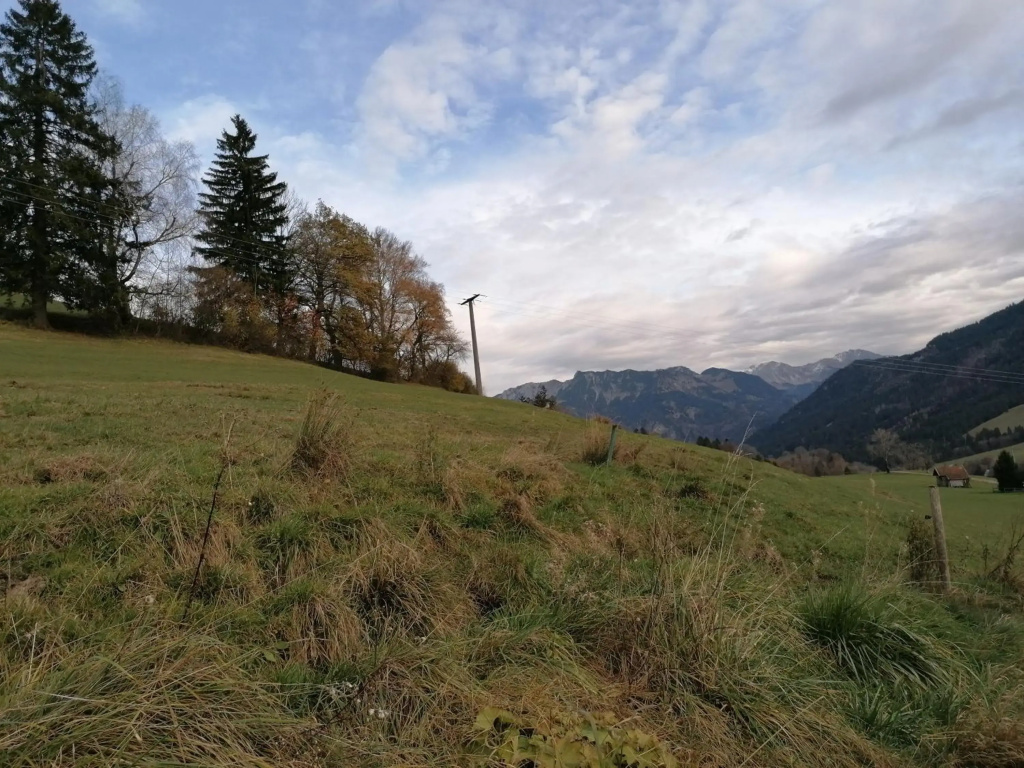 Appartement Alpblick