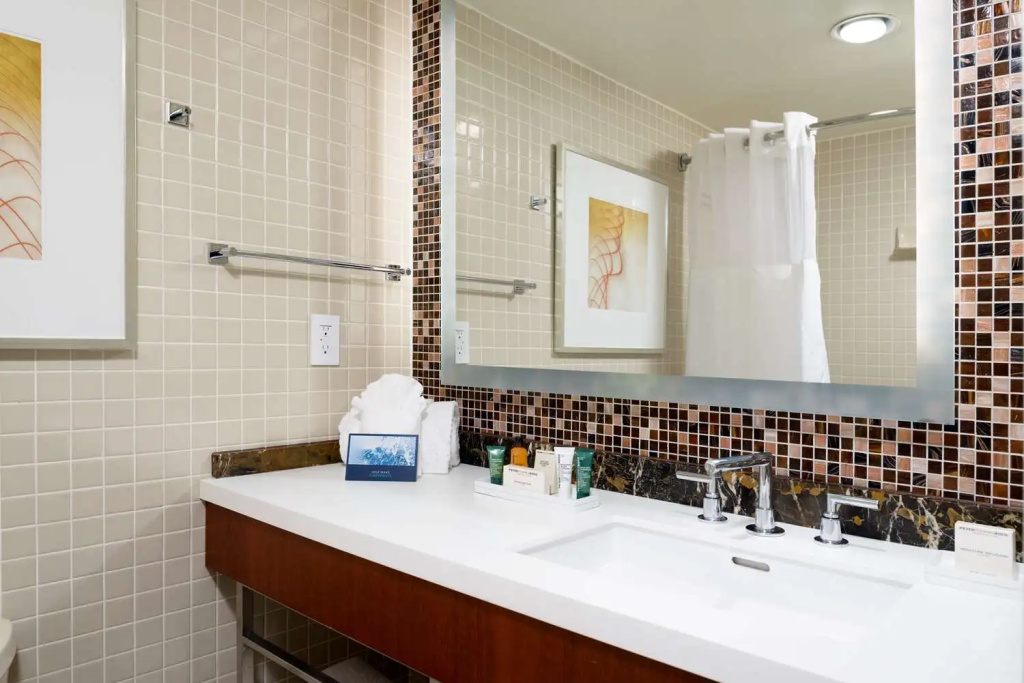DoubleTree by Hilton Washington Dulles Airport Hotel - Chambres
