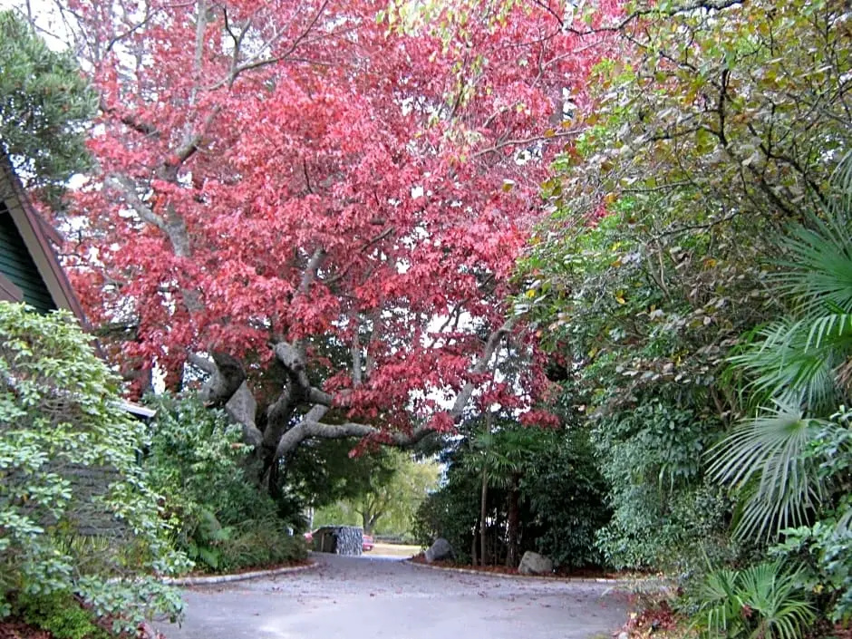 Creel Lodge - Général