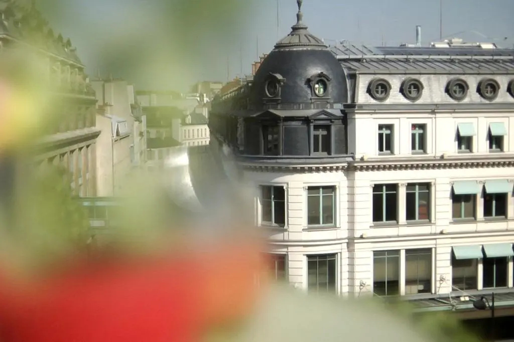Le Placide Saint Germain des Pres