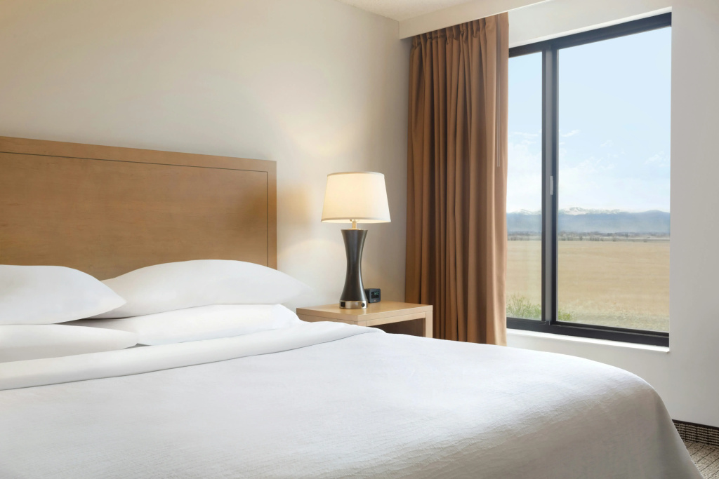 Embassy Suites by Hilton Denver International Airport - Général