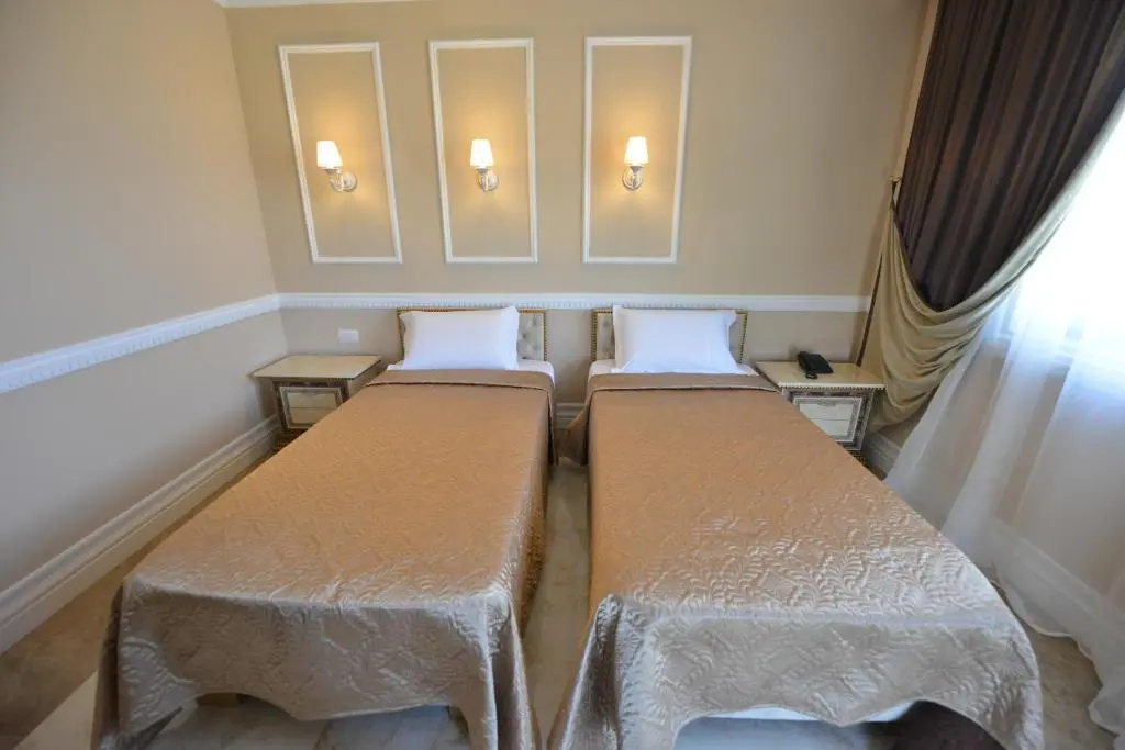 Standard Double room (twin beds)