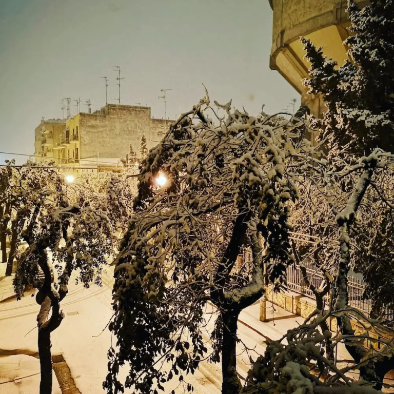 Eccelsoleccese