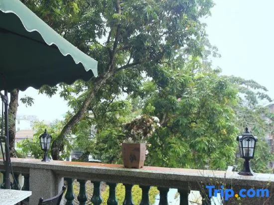 Balcony & Terrace