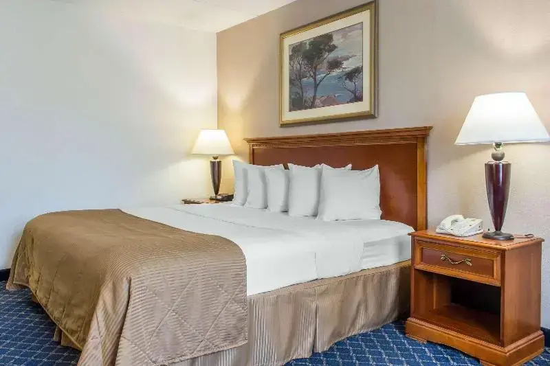 Clarion Hotel & Conference Center Ronkonkoma MacArthur Airport - Chambres