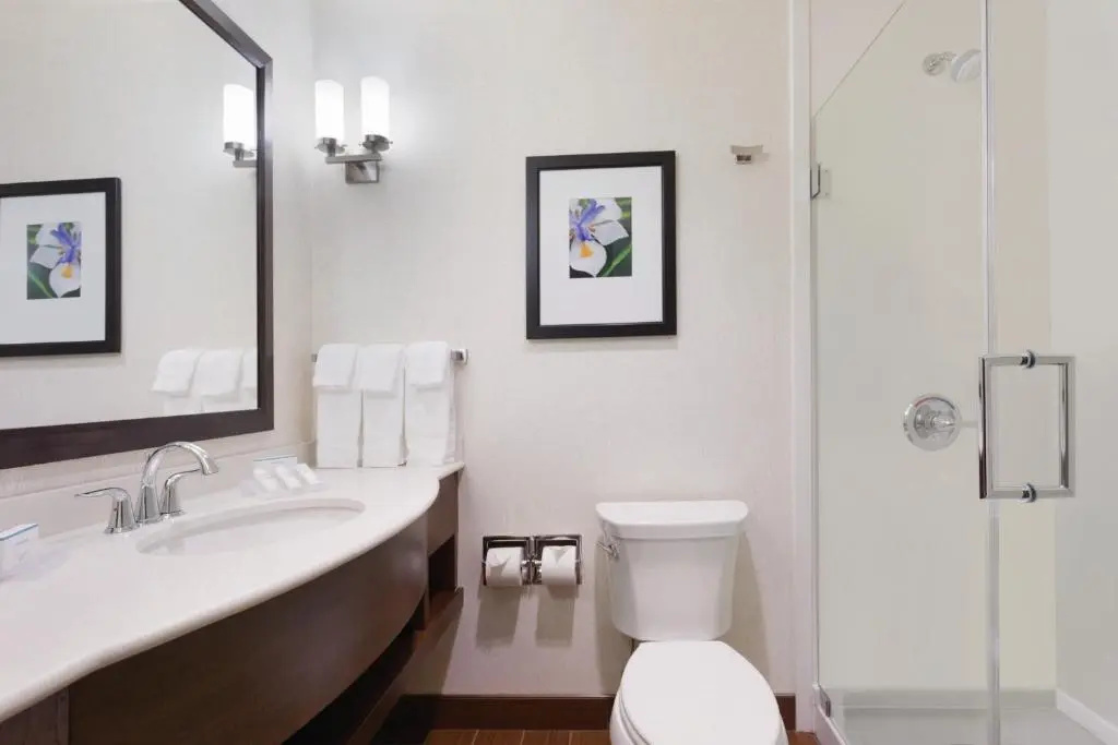 Hilton Garden Inn Rochester Downtown, NY - Chambres