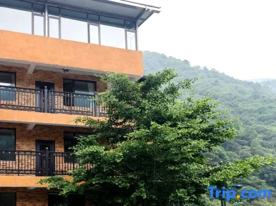 Home Hotels