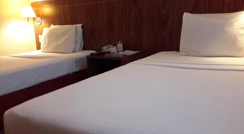 Standard Double room (twin beds)
