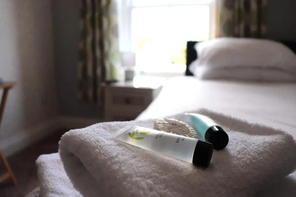 The White Horse Hotel - Chambres