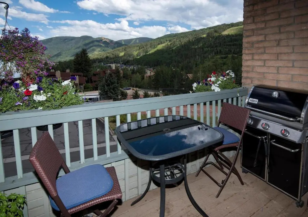 1063 Vail View Drive 26