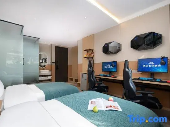 Deluxe Double room (twin beds)