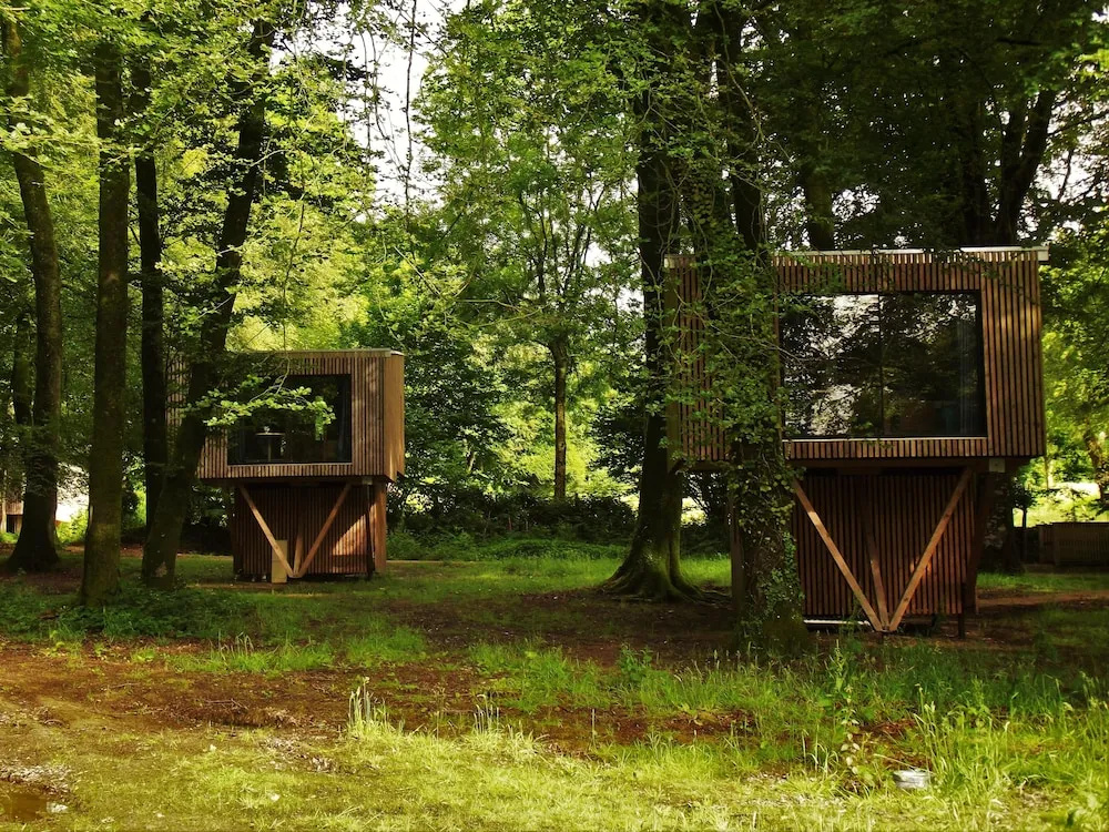 Afficher la photo 7 — Etape en forêt