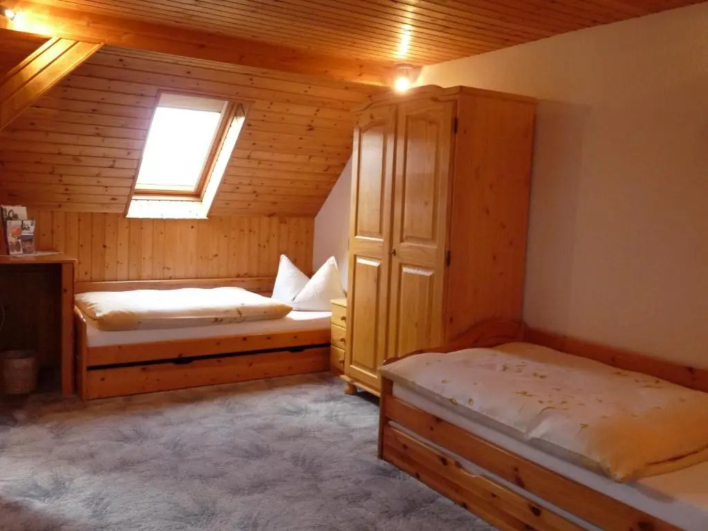 Standard Double room (twin beds)