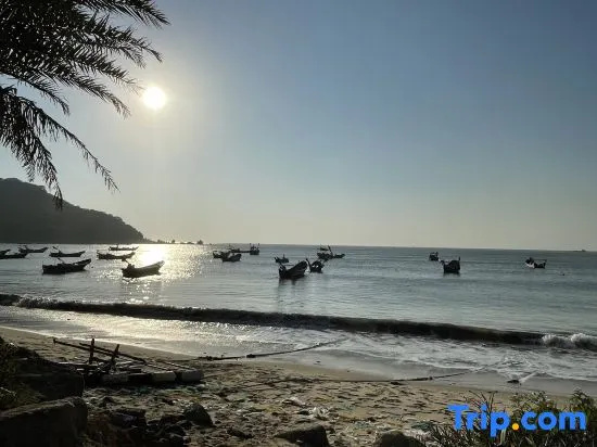 Beach & Waterfront