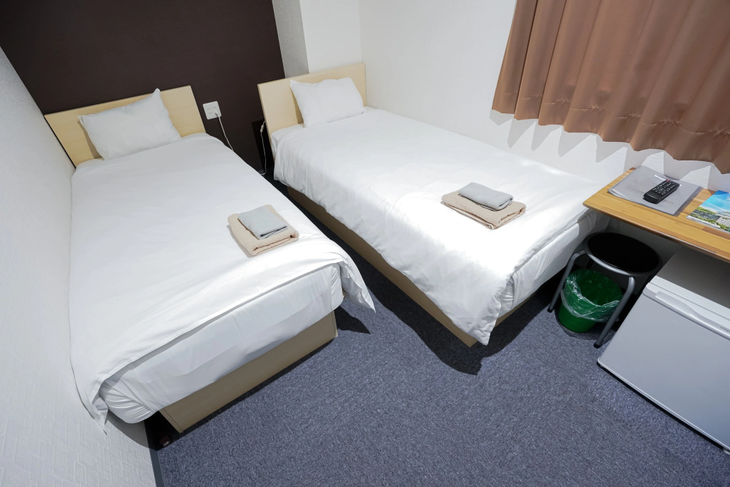 Standard Double room (twin beds)