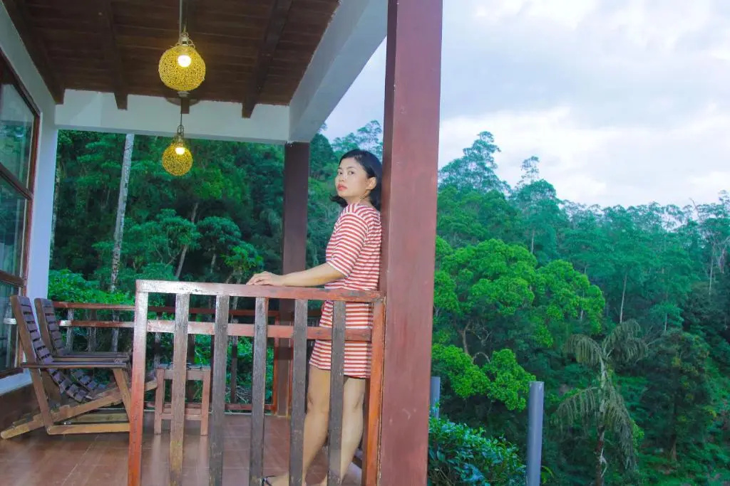 Rainforest Lodge - Chambres