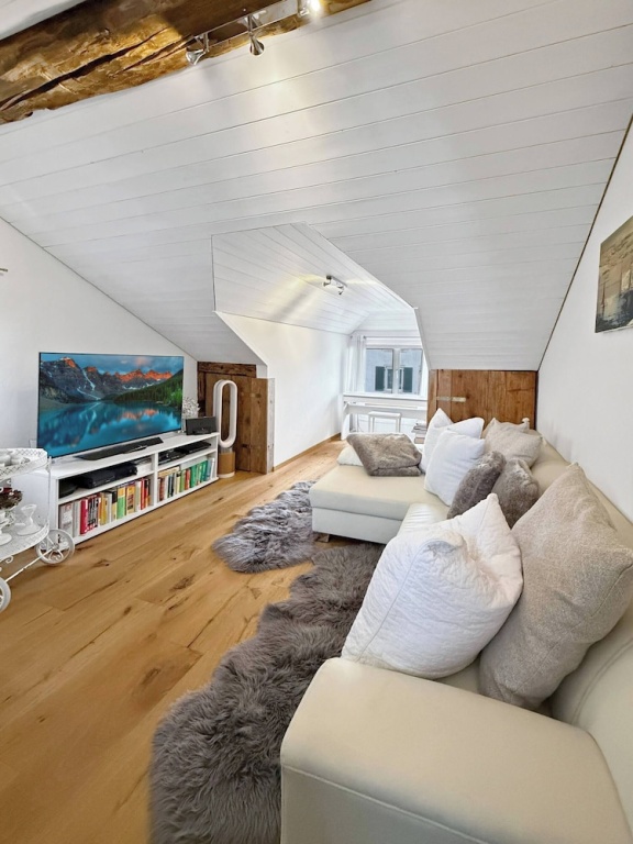 Elegant Lake Zurich House With Stunning Views and Private Terrace in Stafa