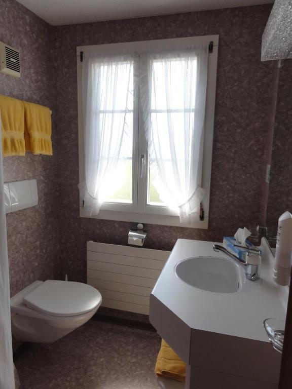 Номер Superior в Hotel Restaurant Blümlisalp