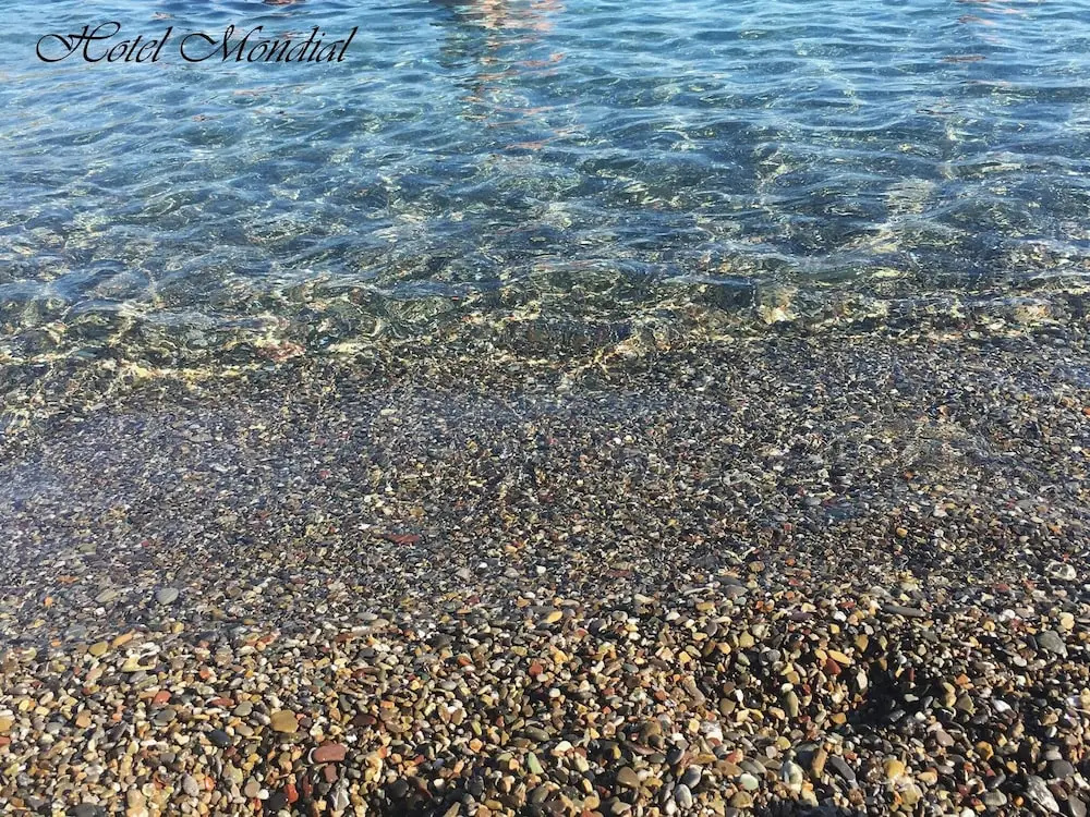 Beach & Waterfront
