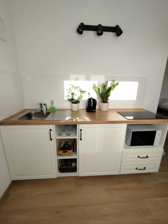 Attic studio Cathouse shared