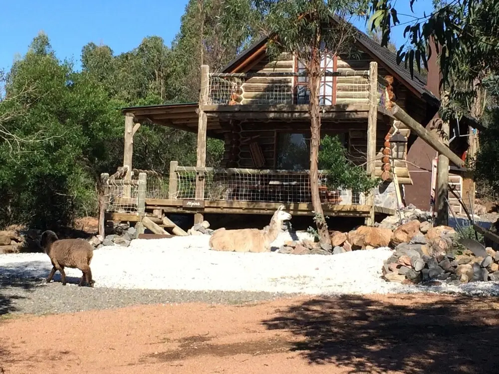 Cottage