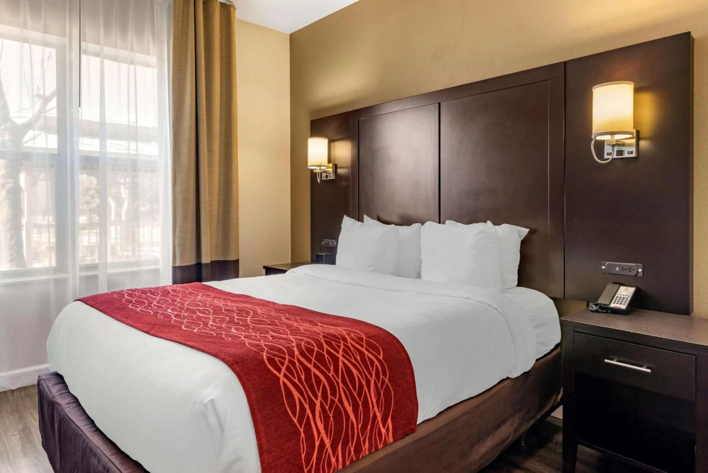 Отель Comfort Inn & Suites в Дугласвилл