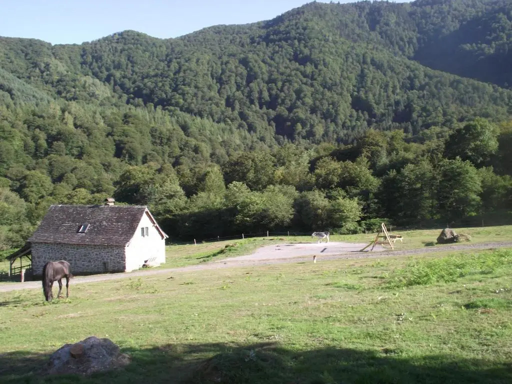 Les chalets de la forêt d'Issaux