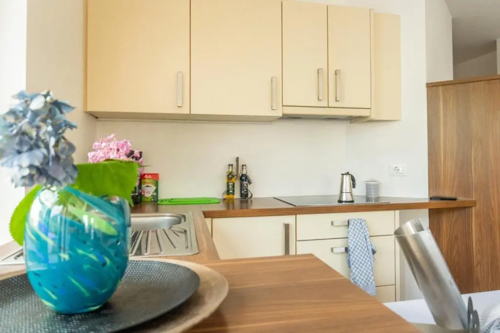 Ferienwohnung mit sehr großer sonnenverwöhnten Terrasse