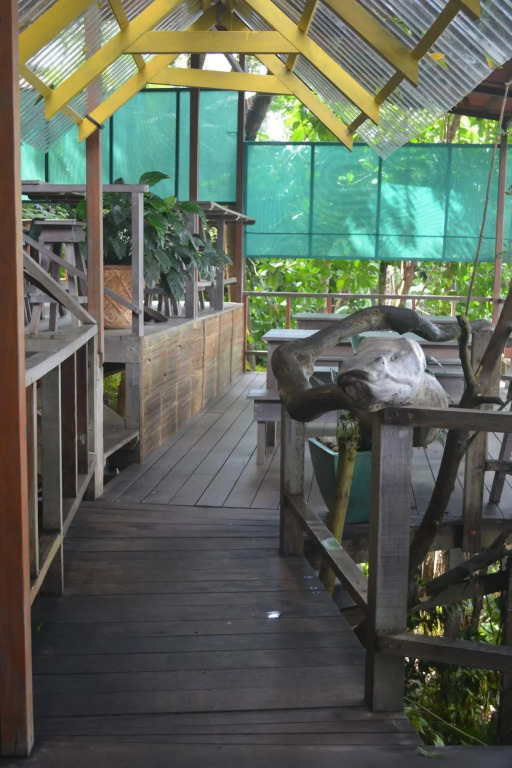 The Lookout Inn Lodge - фото 11