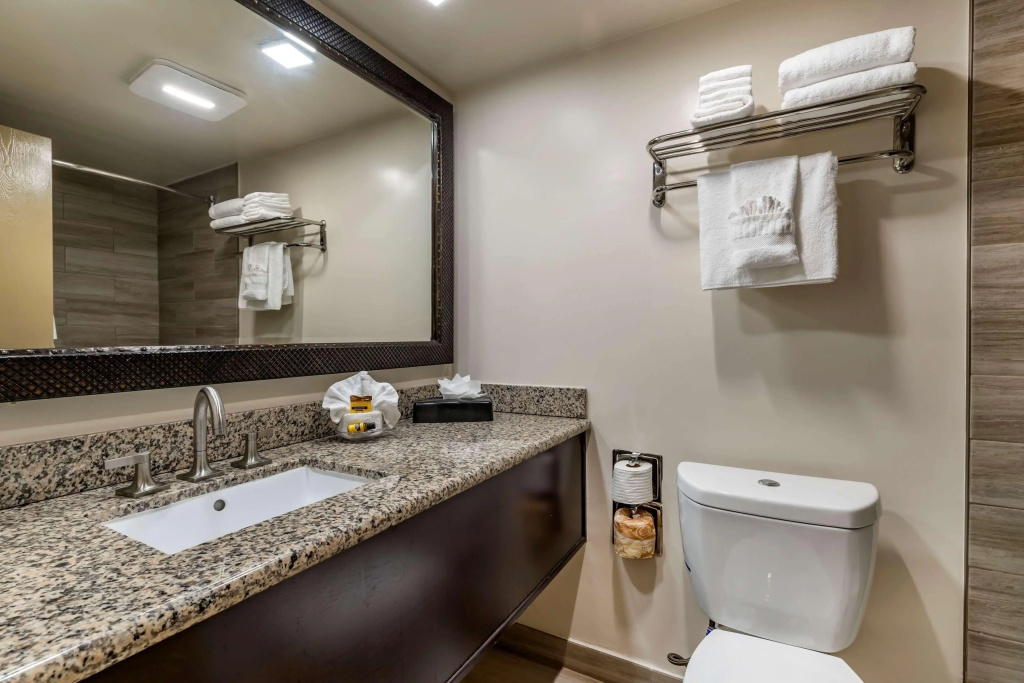 Best Western Plus South Bay Hotel - Général