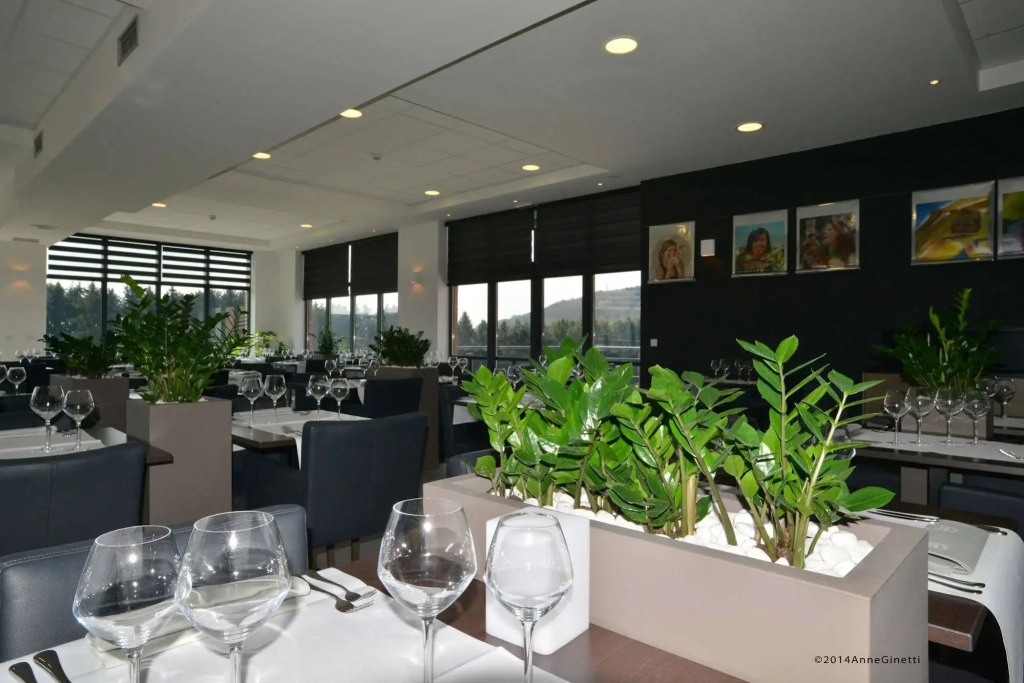 Azur en Ardenne - фото 27