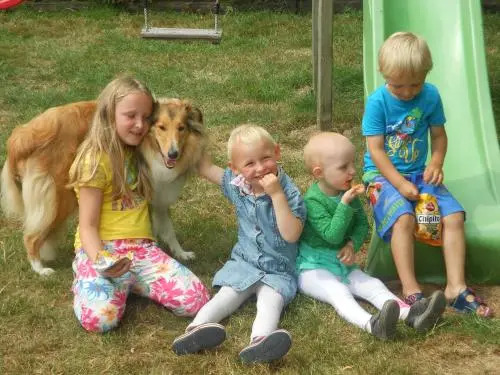 t'Ooievaarsnest - фото 15