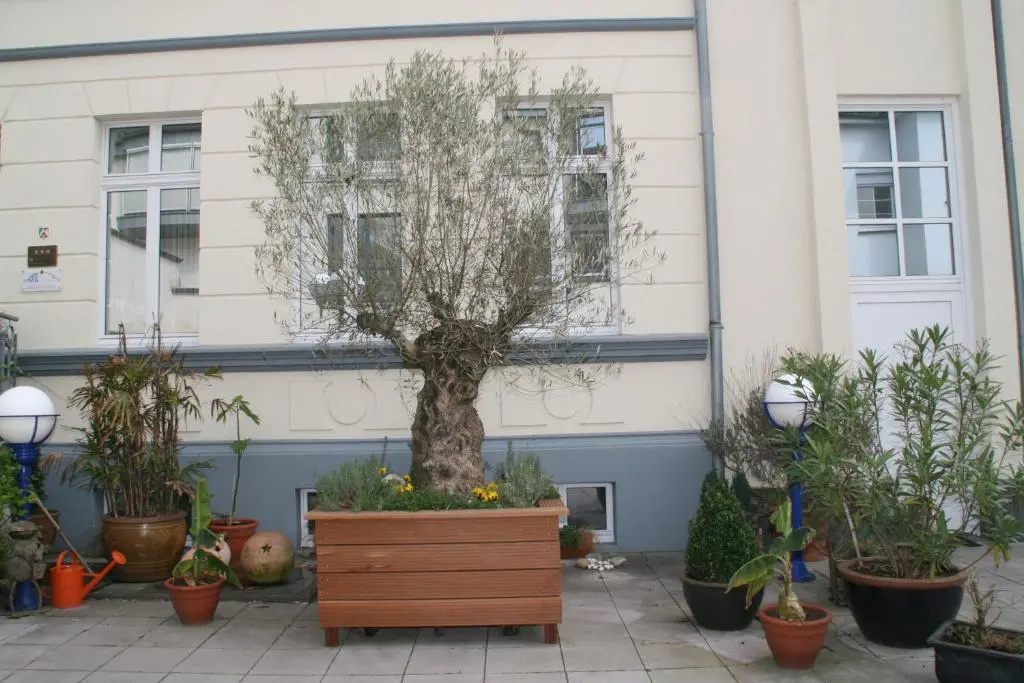 Am Kastell - Chambres