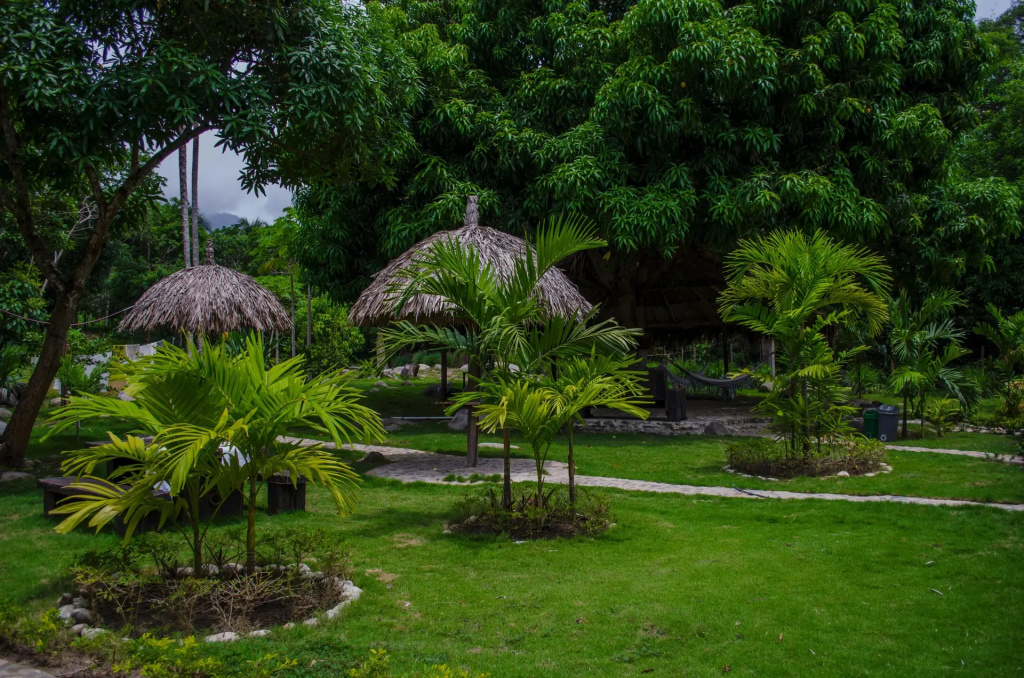 Tayrona Paradise - Général