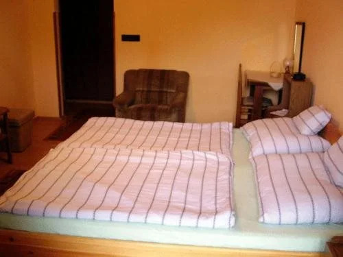 Janika Pension & Restaurant - фото 2