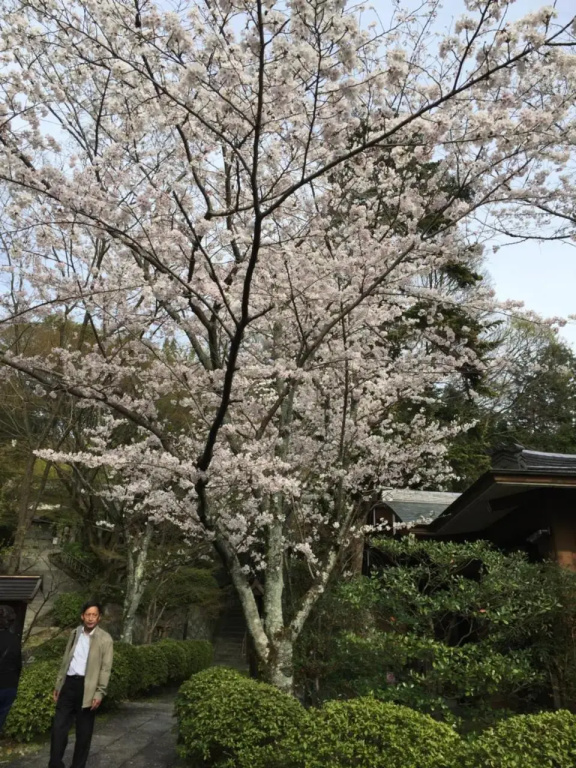 image url