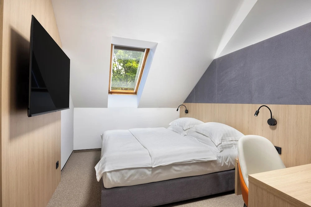 Economy Double room (full double bed)