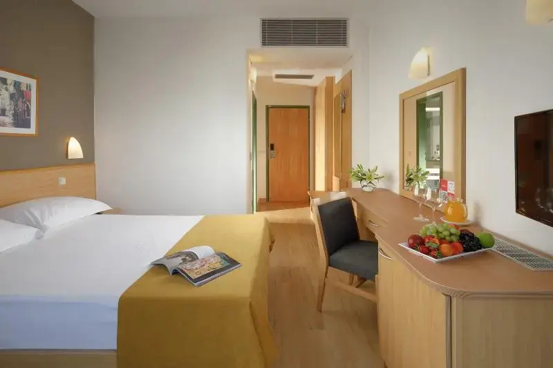 Superior Double room with balcony and with park view (full double bed)